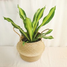 d387be463579cc16285f0f55166339c8b0850238b5ce6fea43f787f4ed29.jpg