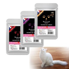 고양이탈취제 소독제 캣리터 데오드란트 딸기향 50g AY97, 1개