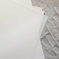 몰드몰 색화지(습자지)-화이트, 10매입
