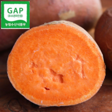 [산지직송] 호박고구마 당근고구마 호풍미 여주고구마, 1박스, 3kg 한입(30-60g)
