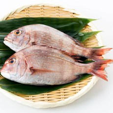 반건조 참돔 특대 167농수산 국내산 여수 가공 배송, 1개, 대400g