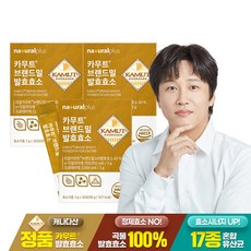 내츄럴플러스 카무트 브랜드밀 발효 효소 / 미숫가루맛