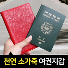 전자여권