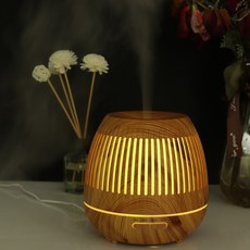 디디오랩가습기