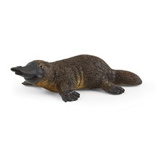 너구리인형
