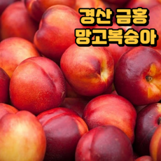 산지직송 경산 망고 복숭아 1~2kg, 1개, 1kg 소과 (10과 내외)