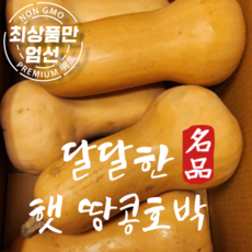 국내산 땅콩호박 버터넛스쿼시 4kg 8kg, 부드러운 땅콩호박 4kg, 1개