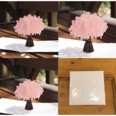 WONKING 3D 입체 카네이션 어버이날 스승의날 카드 팝업카드 update, 7.분홍 벚꽃(중)-마시멜로우 피치 향기, 1개