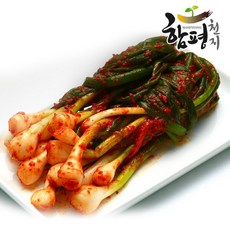 [함평천지] 함평나비골 남도식 파김치 3kg, 1개