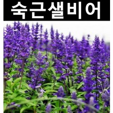 d1109edc989914a22a6c6cf1759751cc45ad2b42a0c60838e7d50b8cfad1.jpg