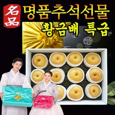 추석선물세트 선물용 프리미엄 과일 나주 꿀 황금배 햇배 나주배 7.5kg 제수용 고급 명절 과일세트 백화점 이마트 추석 보자기 선물, 프리미엄 나주배 선물1호 (6~10과) 7.5kg