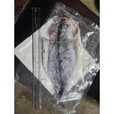 골라 담는 반건조생선 놀래미 민어 도미 우럭 열기 솜팽이 농어, 특대1마리, 1개
