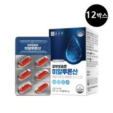 종근당 피부 보습엔 히알루론산 12박스 12개월분 피부보습 세포보호, 단품