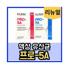 프로파이브에이