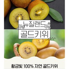 뉴질랜드 제스프리 골드키위, 1박스, 대과 1kg (6-7과)