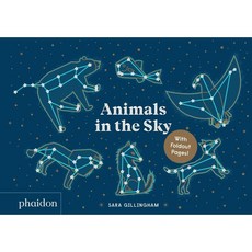 Animals in the Sky, Phaidon Press