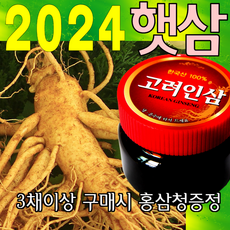 금산인삼아줌마 인삼 (3호)6년난발삼 750g 산지에서 발송 가정용 수삼, 6년난발삼(3호) 750g, 1개