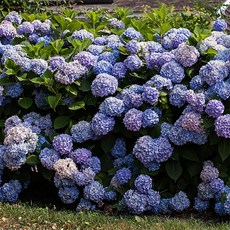 31050a591722f9f22c7bc6473df47c67cd92df549d5f0c14a0ffec348e98.jpg