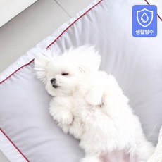 박나래기절베개속통