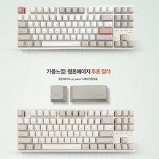 씽크웨이 토체티 D T체리 키보드(베이지 저소음 흑축)