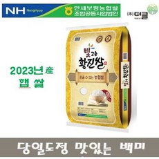 [ 충남 보령농협 ] 정담곡 만세보령 황진쌀 10Kg, 1개, 10 Kg