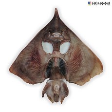 [나주수산] 반건조홍어 국산 한마리 홍어찜 제수용 어청도 대청도, 1개, 3kg~4kg