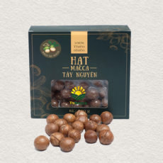  통 마카다미아 까먹는 견과류 500g 베트남산 간식, 6개 