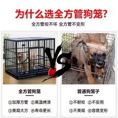 한라산애견호텔