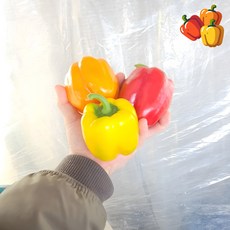 우팜사 국내산 특품 파프리카 빨간 노랑 주황 파프리카 혼합 못난이 아님 프리미엄 파프리카, 1박스, 5kg