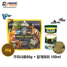 비파물고기 TOP01