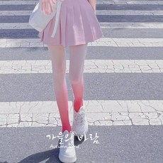 그라데이션스타킹