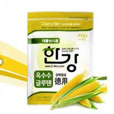 여의도한강요트