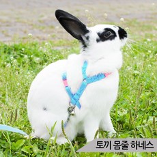 토끼 몸줄 AMZ-T19(블루) 가슴줄 하네스 리드줄포함