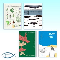 고래와돌고래에관한모든것