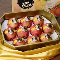 프리미엄 명절 사과 선물세트 5kg, 1개