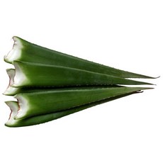 0491d311fba75771fc5eb5812f0444b76429c87d6b3669e2e8aeaf53a788.jpg