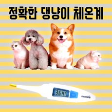 정확한 강아지 고양이 체온계 구강 항문 액와 신생아 약국 코로나 열 체크기 겨드랑이 체크