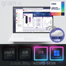 LG 2022 그램14(12세대) 14ZD90Q-GX50K [사은품 증정], WIN11 Pro, 8GB, 2TB, 코어i5, 화이트