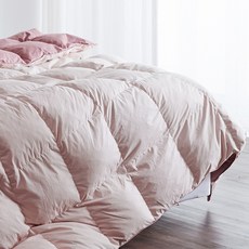 레노마구스이불솜