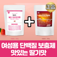 맛있는단백질보충제 딸기맛 여성 여자 다이어트 프로틴 쉐이크 운동 전 후 마시는 단백질 분말 가루 파우더 WPC 유청