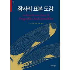 잠자리표본