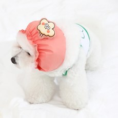 강아지샤워귀마개