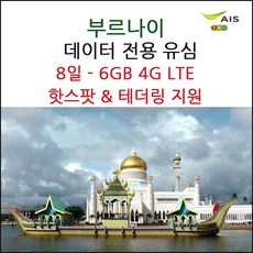 프로모션 브루나이 데이터 유심 8일 6GB - 4G LTE 테더링& 핫스팟 지원, 1개