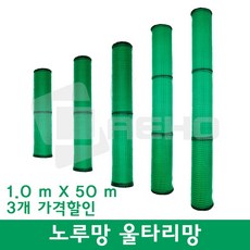 아즈망가대왕신장판