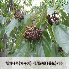 d243de4af6f8003bdaa6c2cab137a9eda9b5660ad1d07897c060b3ed39cc.jpg