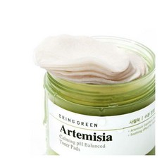 브링그린사철쑥토너