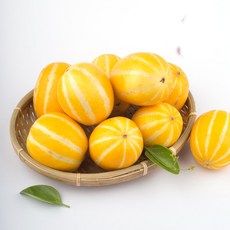 성주참외 가정용 당도보장 랜덤과 농장직배송, 1박스, 2kg