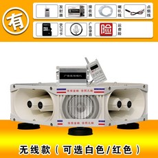 12v디빅스