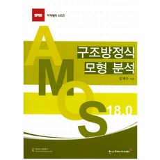 AMOS 18.0 구조방정식 모형 분석, 한나래아카데미