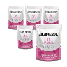 벨버드 푸드 덴탈케어 100g 강아지 껌간식, 종합건강, 5개 - 벨버드치킨껌